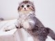 【WordPress】URLを変更する2つの方法!サイトアドレスからWPを削除