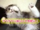 WordPressで13プラグインを減らして高速化する方法まとめ