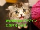 【WordPress高速化】プラグインのCSS・JavaScriptを削減・圧縮・まとめる方法