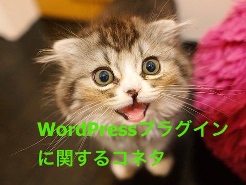 WordPressプラグインのコネタ（子猫）