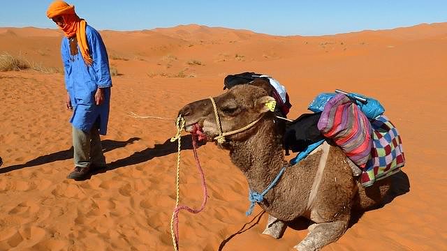モロッコのサハラ砂漠のラクダツアー